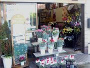 滋賀県近江八幡市の花屋 岡田花店にフラワーギフトはお任せください 当店は 安心と信頼の花キューピット加盟店です 花キューピットタウン